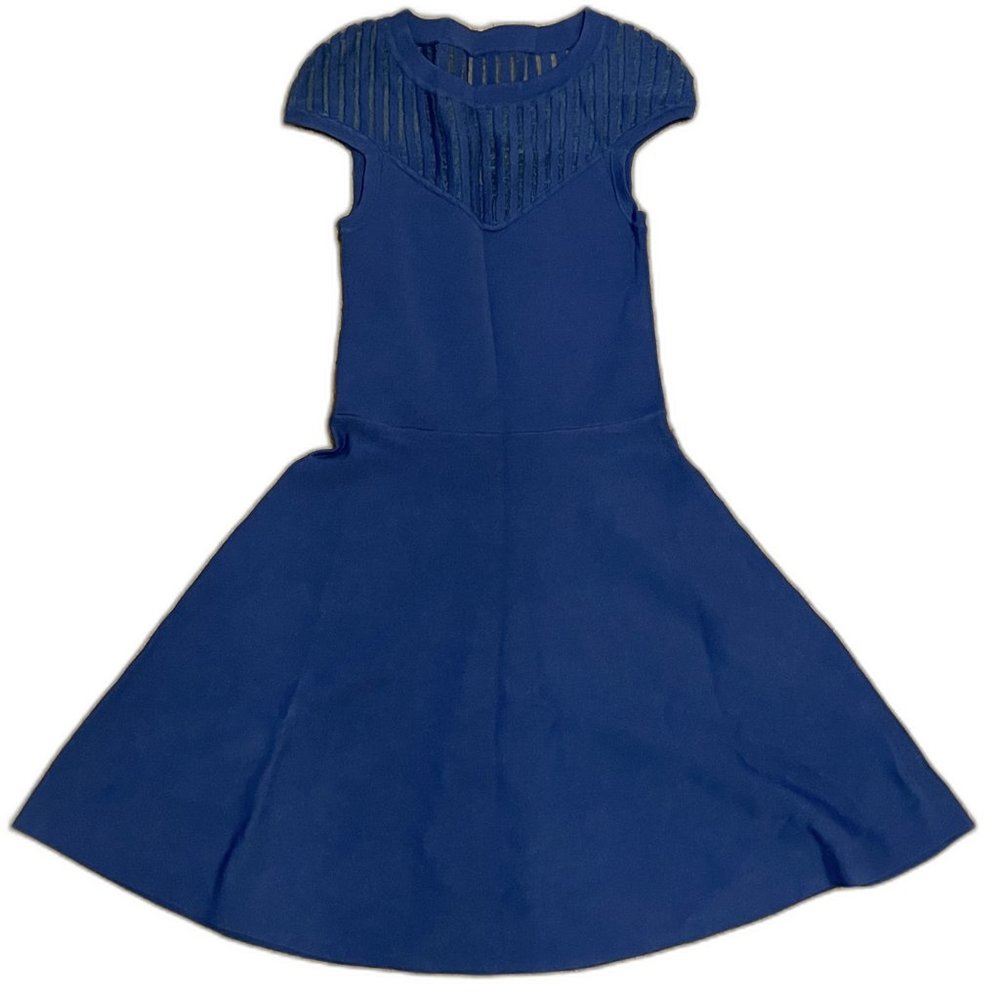 French Connection Rose Fit & Flare Dress in Summer Cobalt Size 0 - Picture 2 of 5